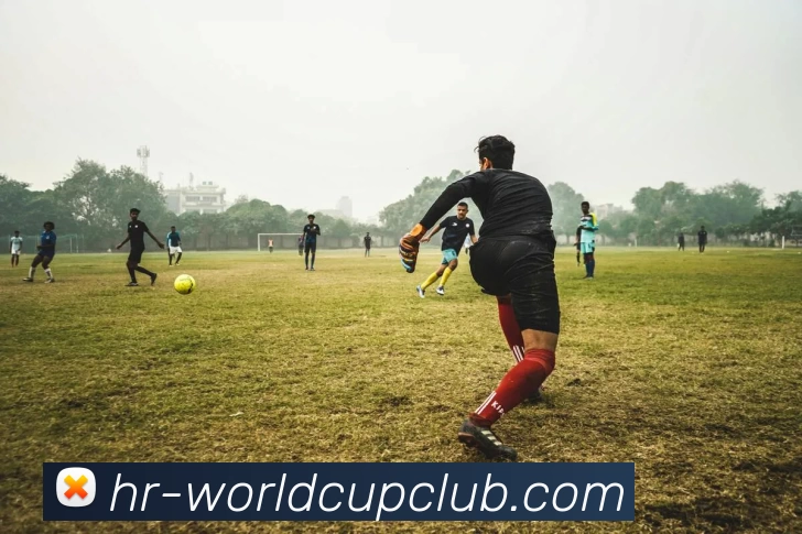 世俱杯官方网站APP 高清赛事图